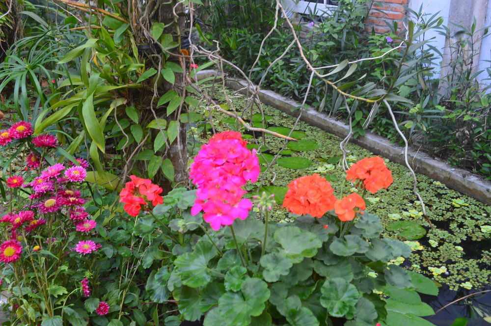 The Hoi An Orchid Garden Villas Εξωτερικό φωτογραφία