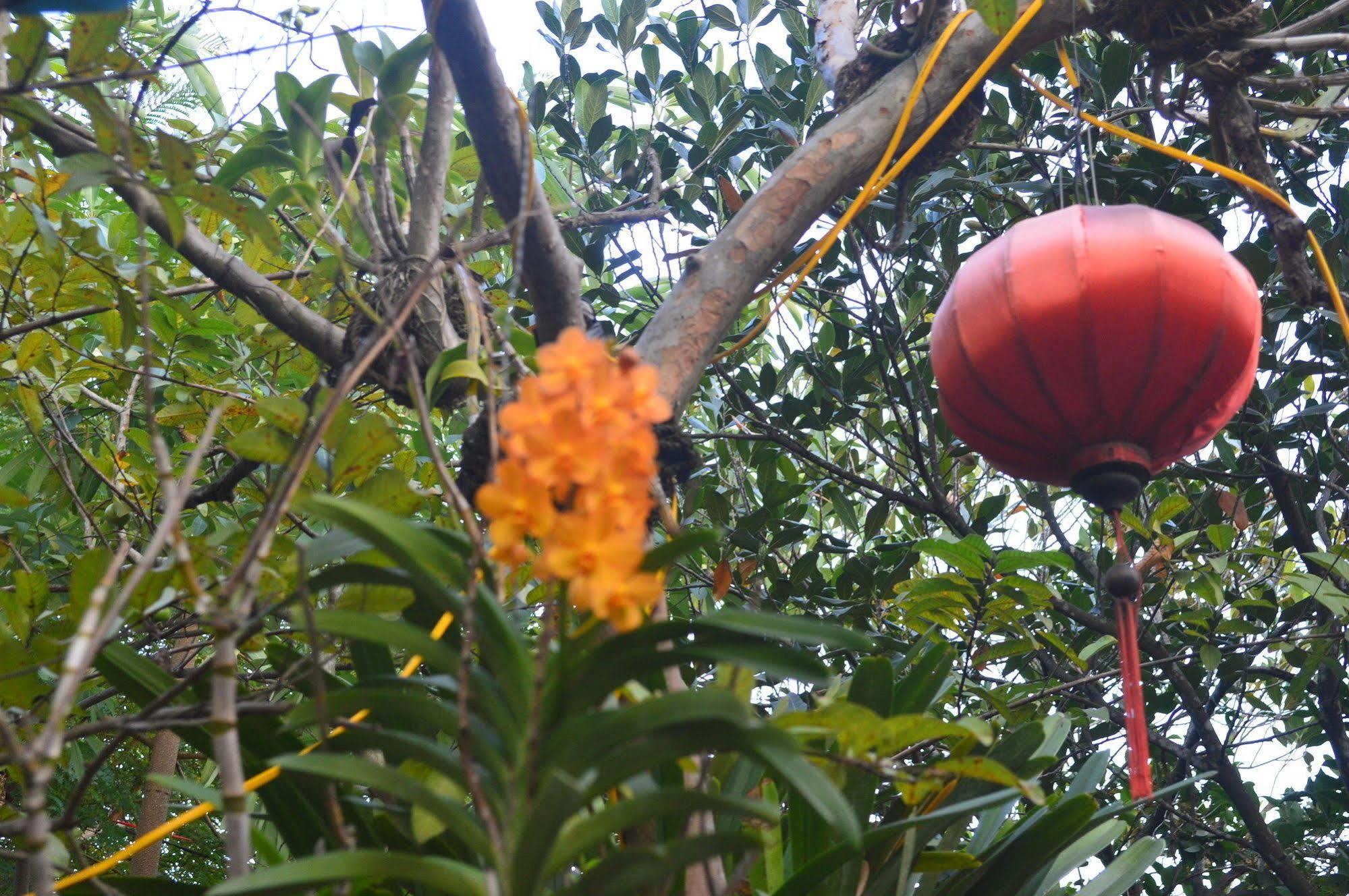 The Hoi An Orchid Garden Villas Εξωτερικό φωτογραφία